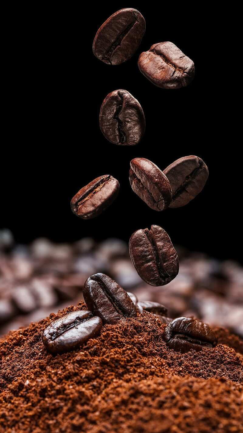 Best of Coffee Powders